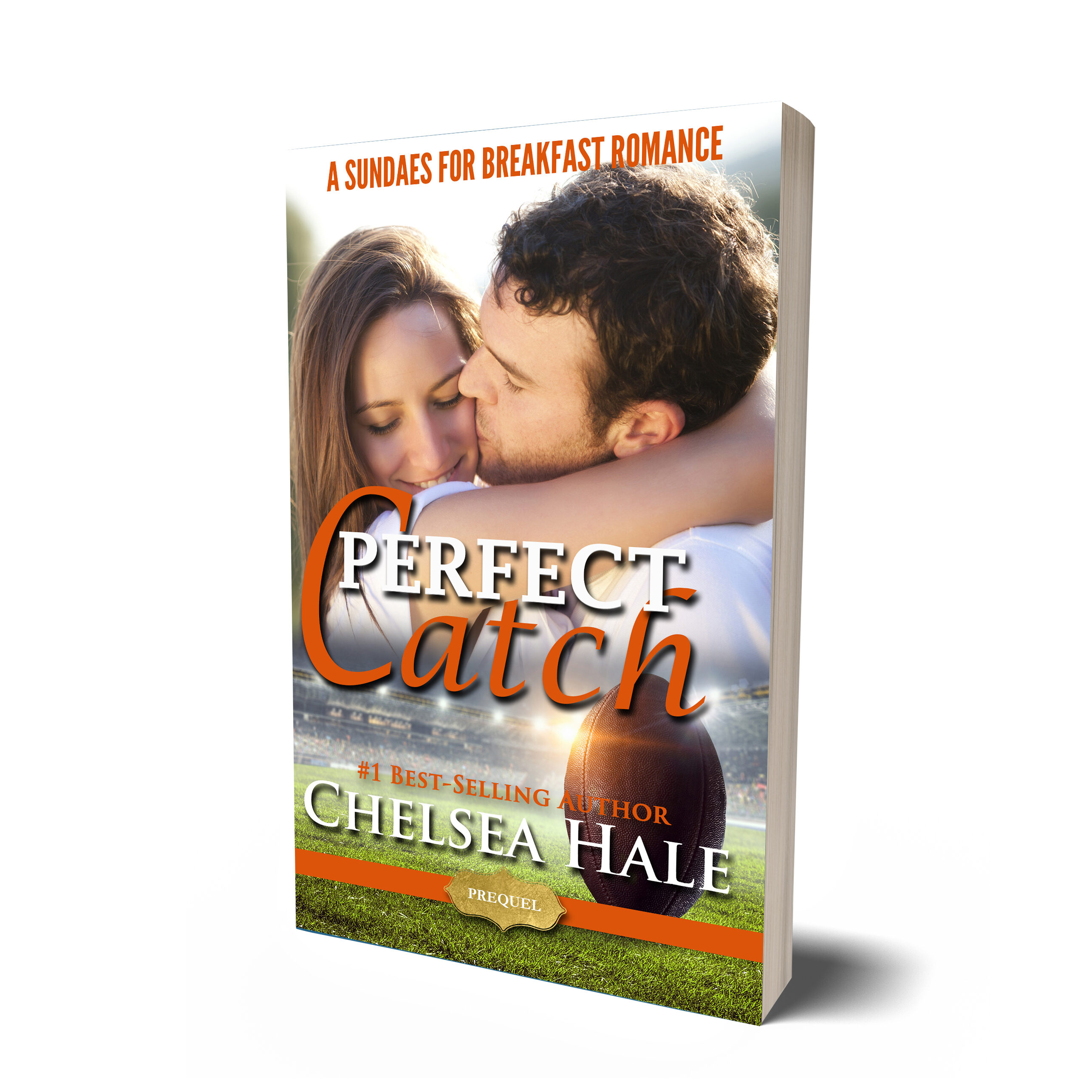 2017.12.28 Perfect Catch white square062-Front-Back-Paperback-Book-Mockup-COVERVAULT copy copy